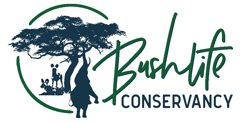 Bushlife Conservancy